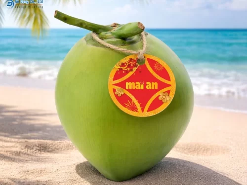 Tem nhãn dán trái dừa