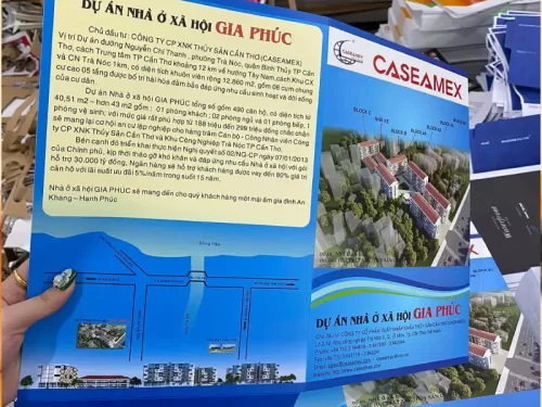 Mẫu tờ rơi căn hộ sang trọng