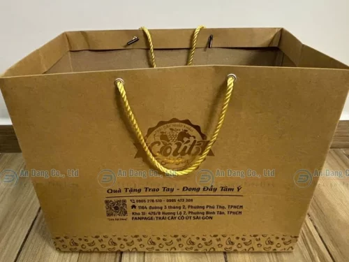 Mẫu túi giấy Kraft đẹp cho shop trái cây cô Út