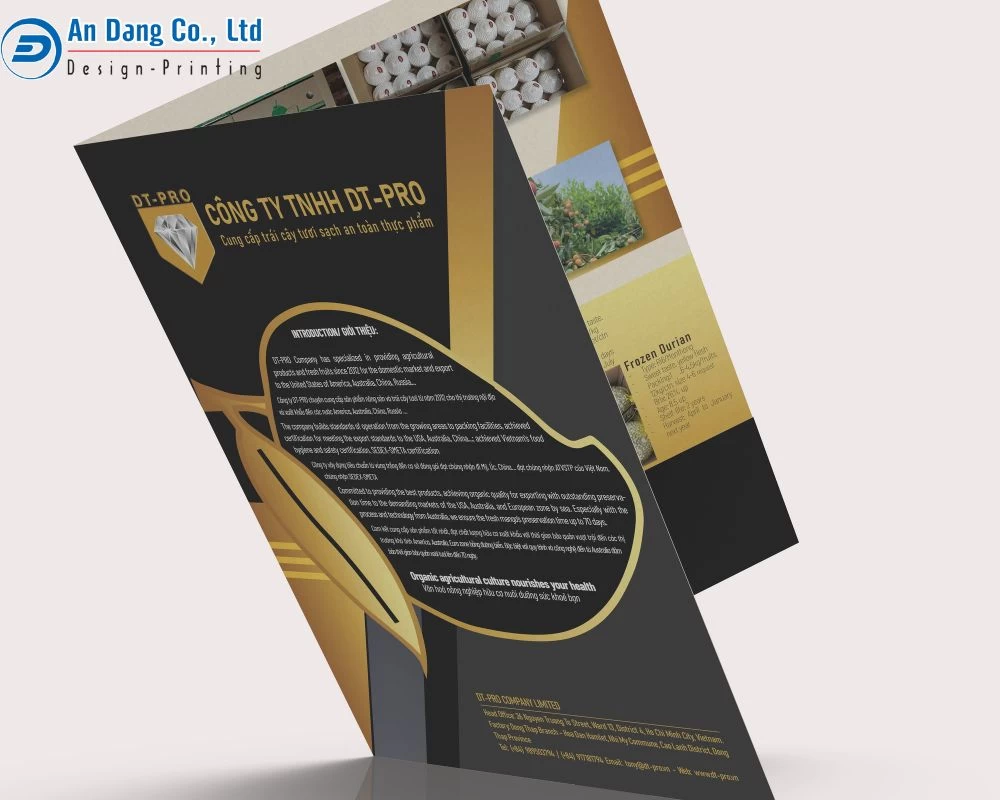 Mẫu folder nền đen, thiết kế màu vàng vừa sang trọng vừa cao cấp