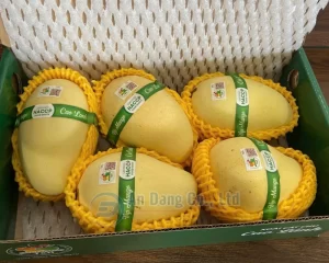 Xoài được dán tem nhãn