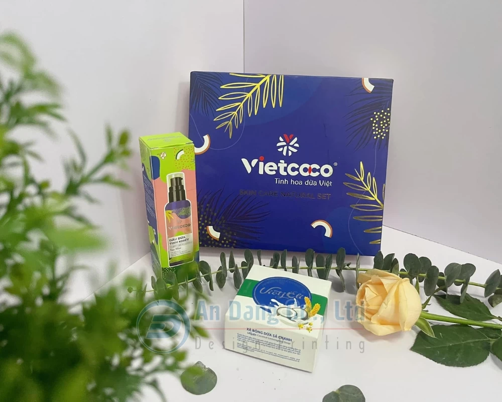 Các mẫu hộp giấy sản phẩm do In An Đăng thiết kế cho thương hiệu Vietcoco