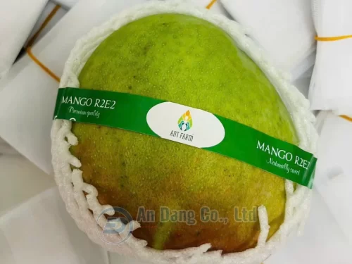 Mẫu tem dán thương hiệu do In An Đăng thiết kế