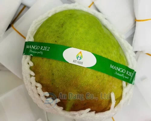 Mẫu tem dán thương hiệu do In An Đăng thiết kế