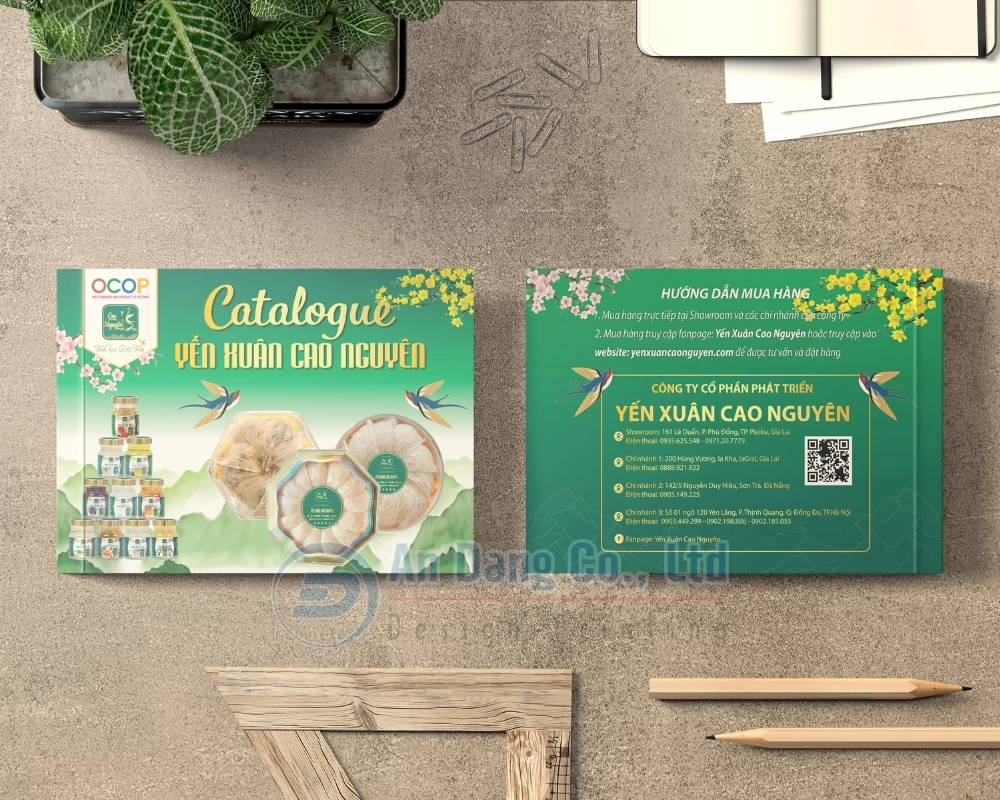 Mẫu thiết kế catalogue sản phẩm yến sào