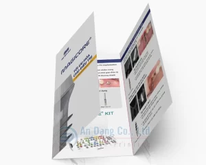Mẫu thiết kế tờ rơi gấp 3 của In An Đăng