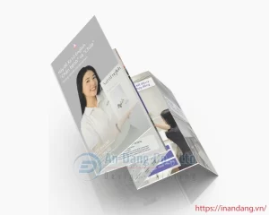 Brochure quảng cáo khóa học IELTS