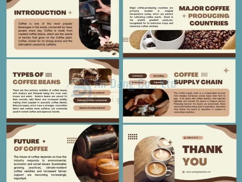 Mẫu catalogue cà phê 1