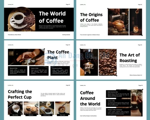Mẫu catalogue cà phê 2