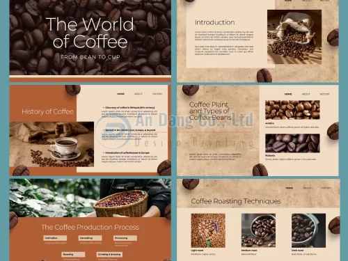 Mẫu catalogue cafe 3