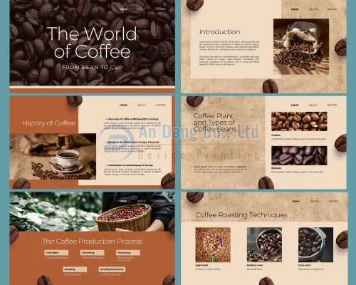 Mẫu catalogue cafe 3
