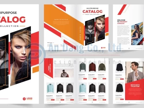 Mẫu catalogue giới thiệu các sản phẩm thời trang nam, nữ