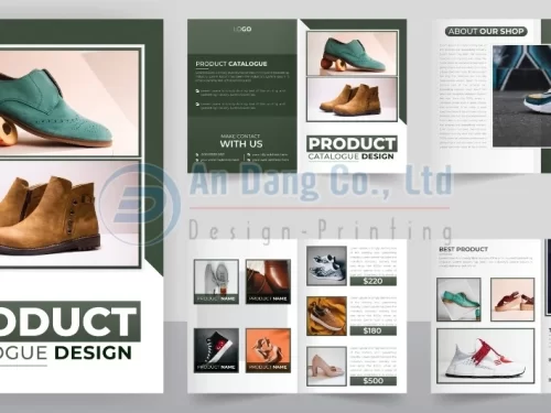 Mẫu catalogue giày