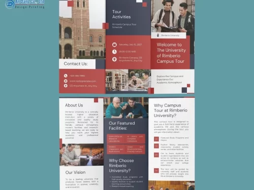 Mẫu 8 - brochure tuyển sinh chuyên nghiệp cho trường đại học