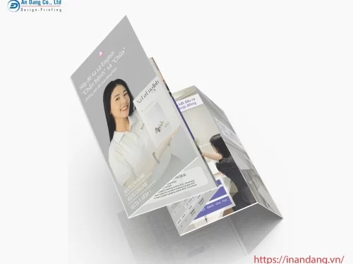 Brochure tuyển sinh được thiết kế chỉn chu, chuyên nghiệp