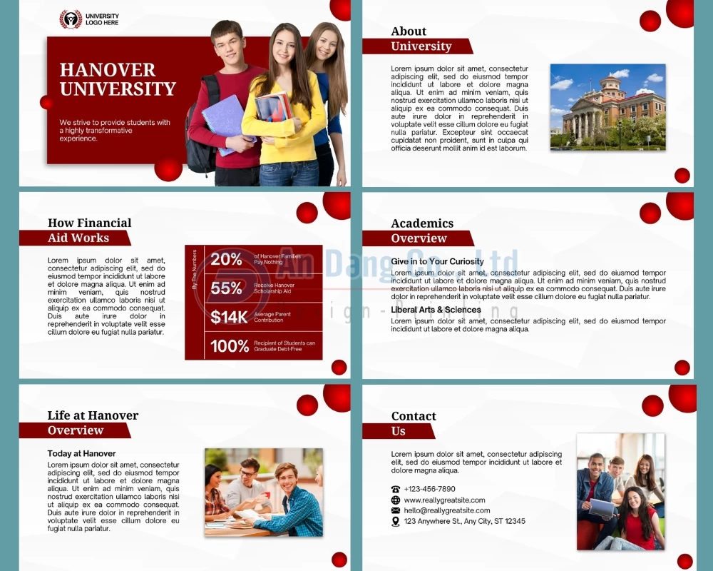 Mẫu catalogue giáo dục trẻ trung, năng động