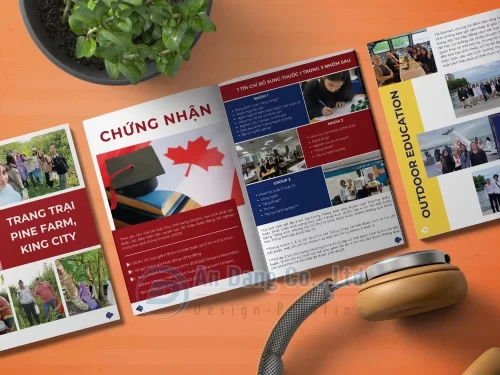 Catalogue giáo dục