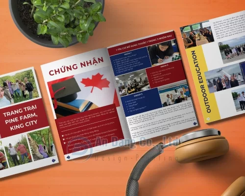 Catalogue giáo dục