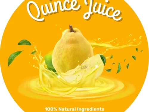 Mẫu tem nhãn nước ép mộc qua dạng tròn