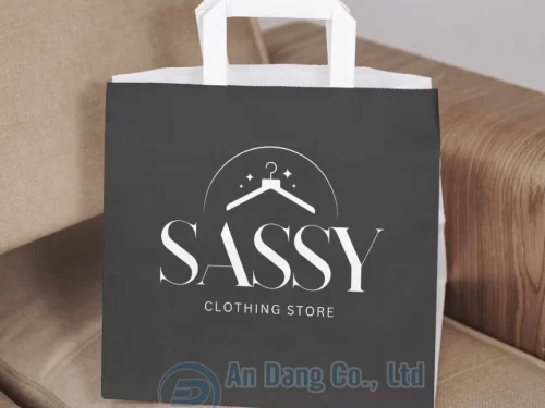 Mẫu túi giấy cho cửa hàng quần áo SASSY