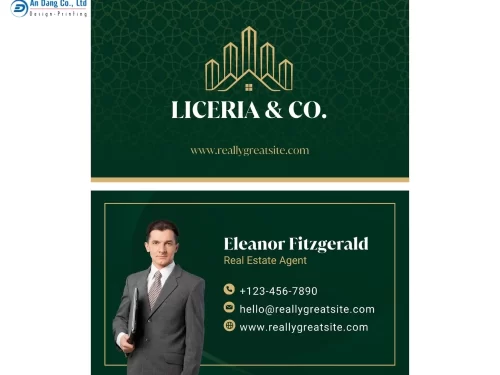 Mẫu 14 - card visit bất động sản chuyên nghiệp, nổi bật