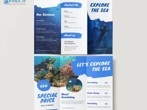 Mẫu brochure quảng cáo tour lặn biển
