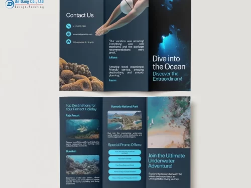 Mẫu brochure du lịch giới thiệu tour lặn biển