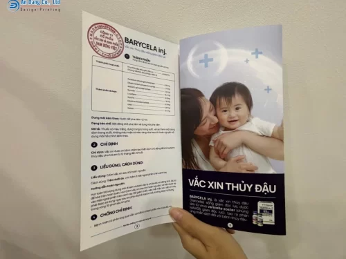 Brochure y tế giới thiệu vắc xin thủy đậu