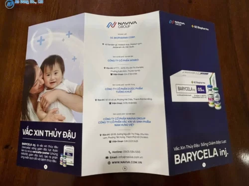 Mẫu brochure y tế kích thước A4