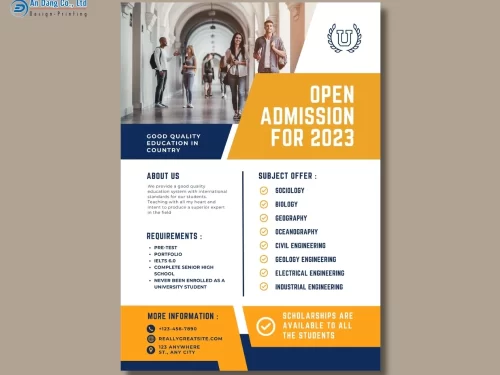 Mẫu 11 - tờ rơi chiêu sinh cho trường đại học, cao đẳng
