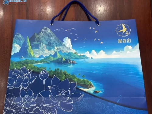 Mẫu túi giấy đựng yến cho thương hiệu Bảo An Yến