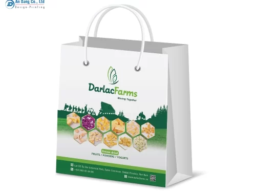 Mẫu túi giấy đựng trái cây sấy