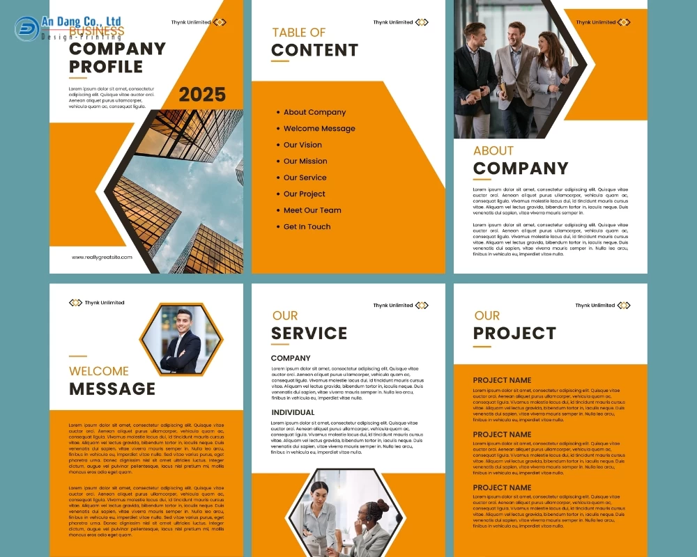 Mẫu profile công ty với thiết kế bắt mắt