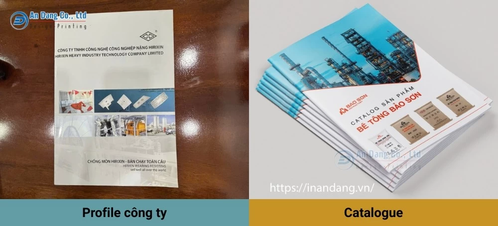 Mẫu profile công ty và mẫu catalogue