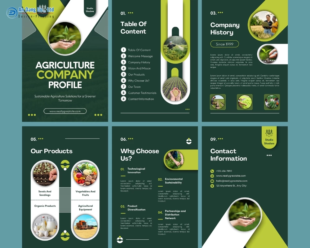 Mẫu profile công ty lĩnh vực nông nghiệp
