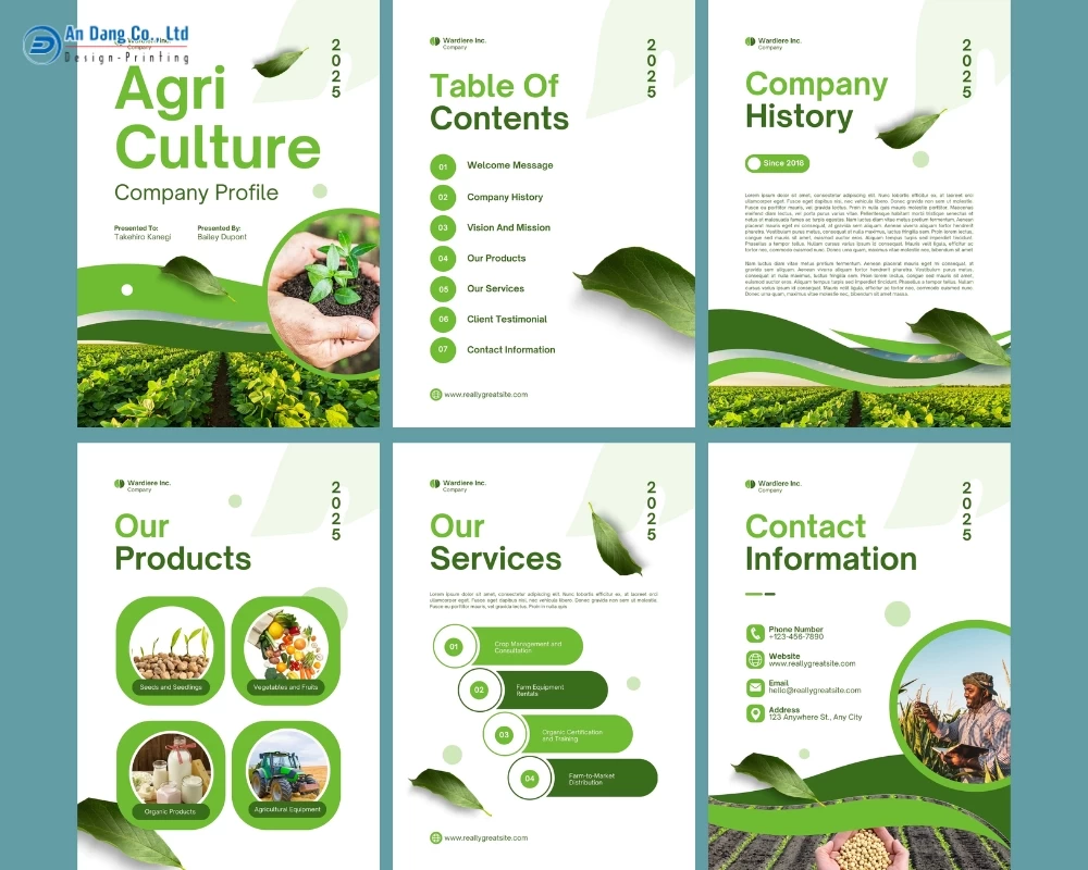 Mẫu profile doanh nghiệp lĩnh vực nông nghiệp