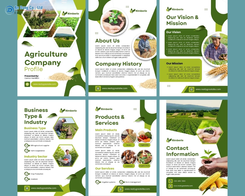 Mẫu hồ sơ năng lực doanh nghiệp lĩnh vực nông nghiệp