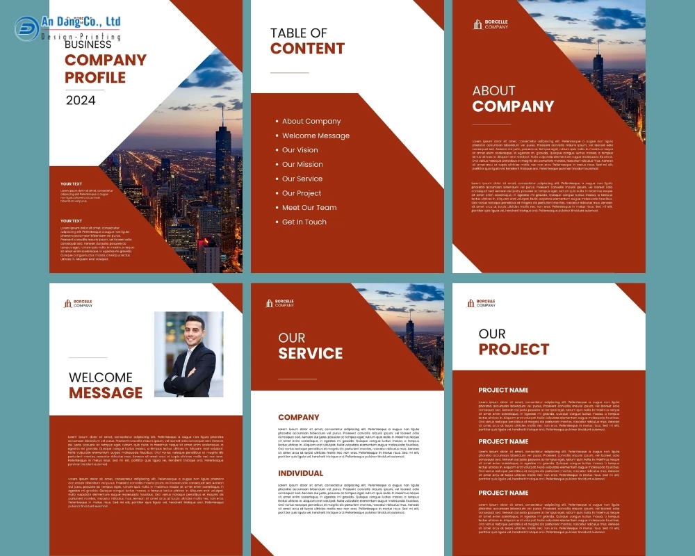 Mẫu profile công ty chuyên nghiệp