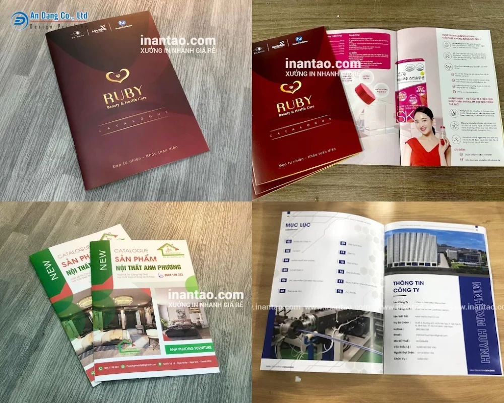 Mẫu ấn phẩm catalogue của xưởng in catalogue giá rẻ - In An Tạo