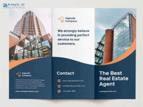 Mẫu brochure giới thiệu đơn vị bất động sản