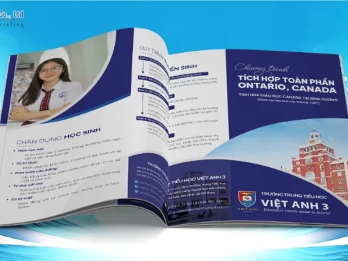 Mẫu catalogue giáo dục khổ A4 cho trường Việt Anh 3