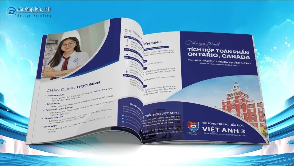 Mẫu catalogue giáo dục khổ A4 cho trường Việt Anh 3