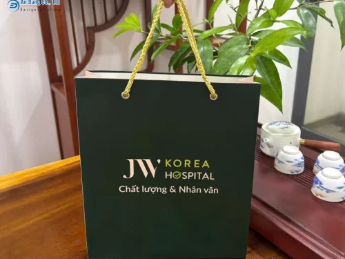 Mẫu túi giấy đựng thuốc cho bệnh viện JW Korea