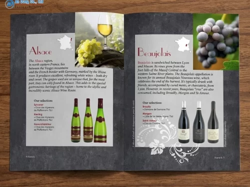 Mẫu catalogue rượu nho