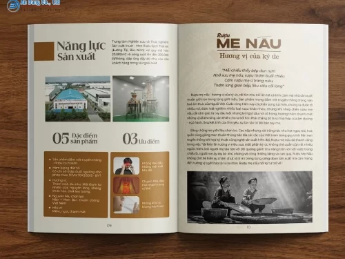 Catalogue giới thiệu thông tin doanh nghiệp, thể hiện sự uy tín thương hiệu