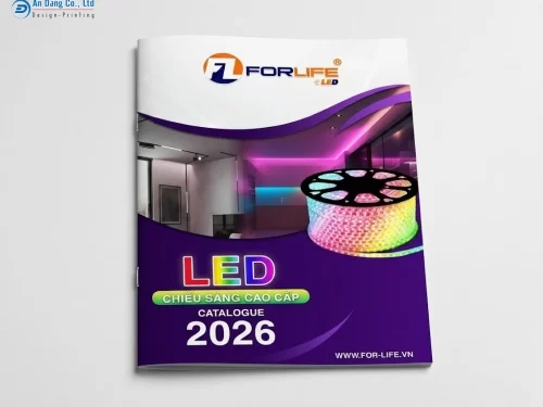 Mẫu catalogue thiết bị chiếu sáng cao cấp của đơn vị For Life