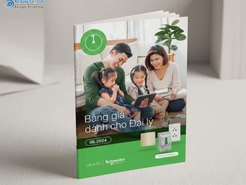 Mẫu catalogue báo giá sản phẩm ổ cắm điện của hãng Schneider