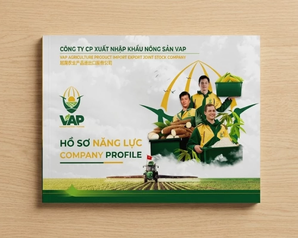Mẫu hồ sơ năng lực công ty của doanh nghiệp Xuất Nhập Khẩu Nông Sản VAP