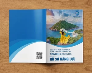 Mẫu hồ sơ năng lực công ty