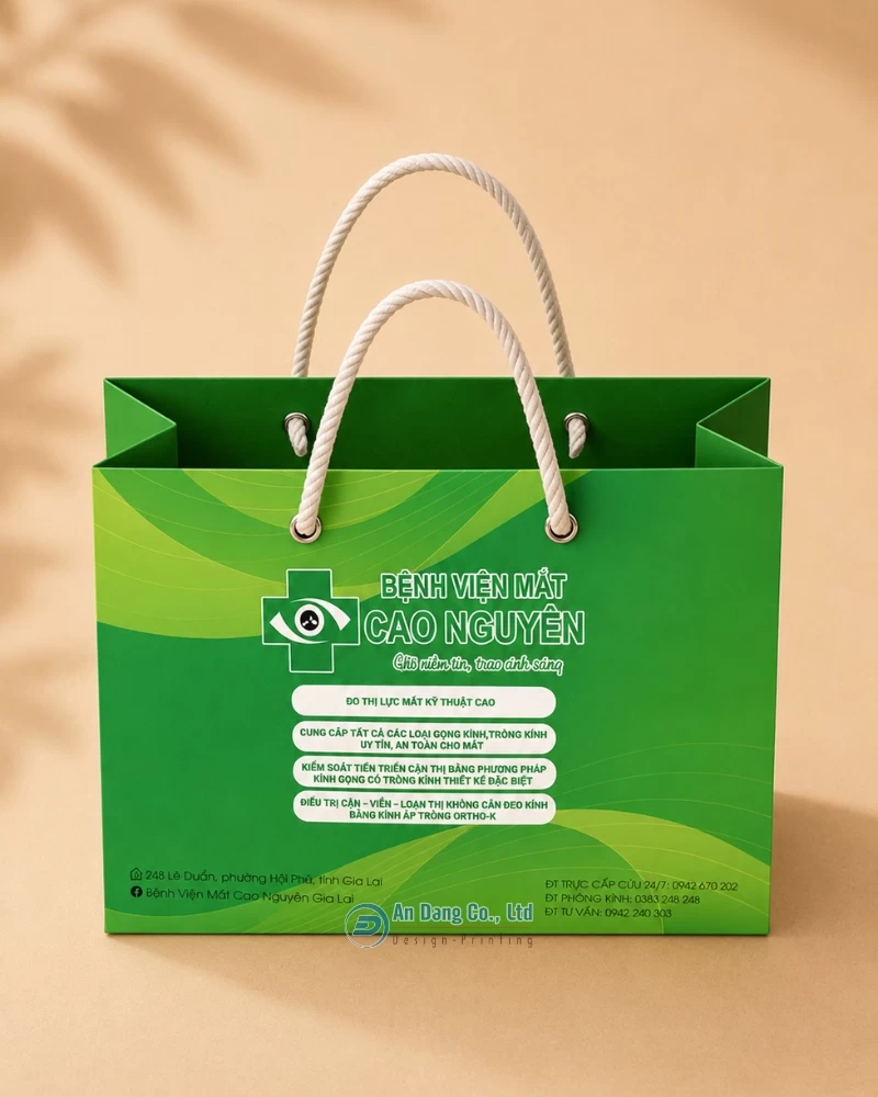 Túi giấy cho bệnh viện mắt Cao Nguyên